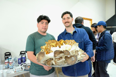 Buscan integrar productos locales a la oferta turística para potenciar la producción fueguina