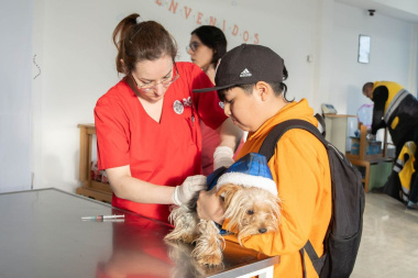 RGA Mascotera: Nueva jornada de vacunación antirrábica