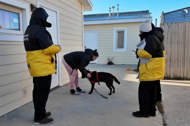 Despliegue territorial de servicios veterinarios en Zona Sur y B° Malvinas Argentinas