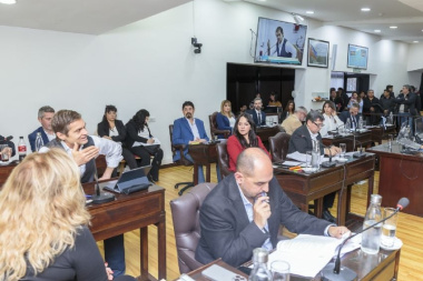 La oposición no logró los votos para insistir la “Ley de Goteo”