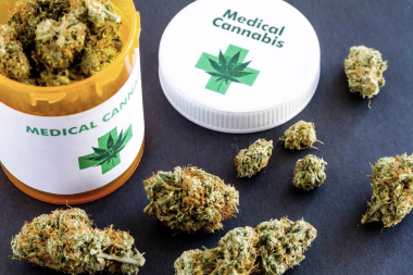 Tierra del Fuego avanza en el fortalecimiento del programa de Cannabis Medicinal