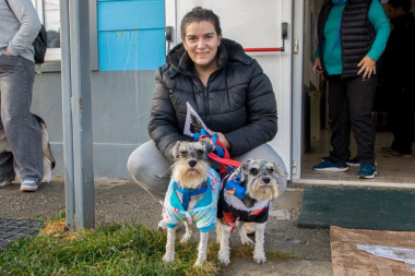 Jornada de vacunación, colocación de chip y adopción de mascotas