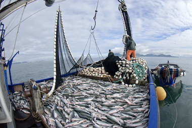 USD 491 millones de diferencia: la brecha de ganacias en pesca entre Malvinas y Tierra del Fuego 
