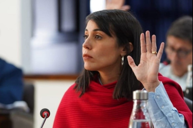 Zona Fría: Monte De Oca dijo que "seguimos con el 50%", pero no dijo que transporte y distribución ya no tienen descuento