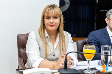 Los docentes que esperen: Gracianía pide quitar la urgencia al proyecto de financiamiento educativo