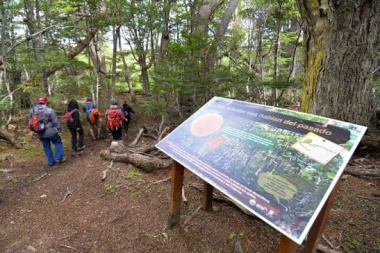 Parque Nacional Tierra del Fuego: avanza la preparacion de senderos para la nueva temporada 