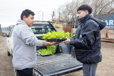Soberanía Alimentaria en Casa:  inscripciones abiertas para la entrega de plantines
