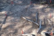 El misterioso hallazgo arqueológico en Tolhuin: el Municipio no explicó que encontraron 