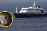 La pareja fallecida del crucero llegó a Ushuaia para embarcar, antes recorrió durante meses zonas con hantavirus