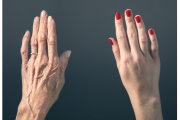 Logran rejuvenecer células humanas hasta 30 años: el avance científico que ilusiona a la medicina