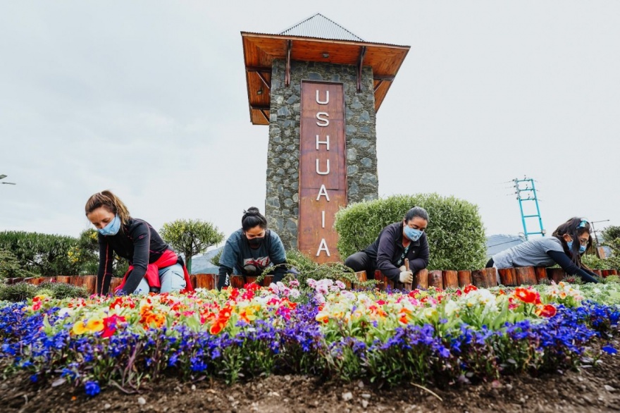 Avanza el programa de embellecimiento urbano con producción local de flores  - La Contratapa TDF