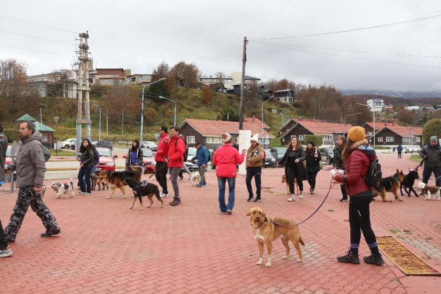 El Municipio de Ushuaia acompañó la “Caninata” organizada por Amigos del Reino Animal 